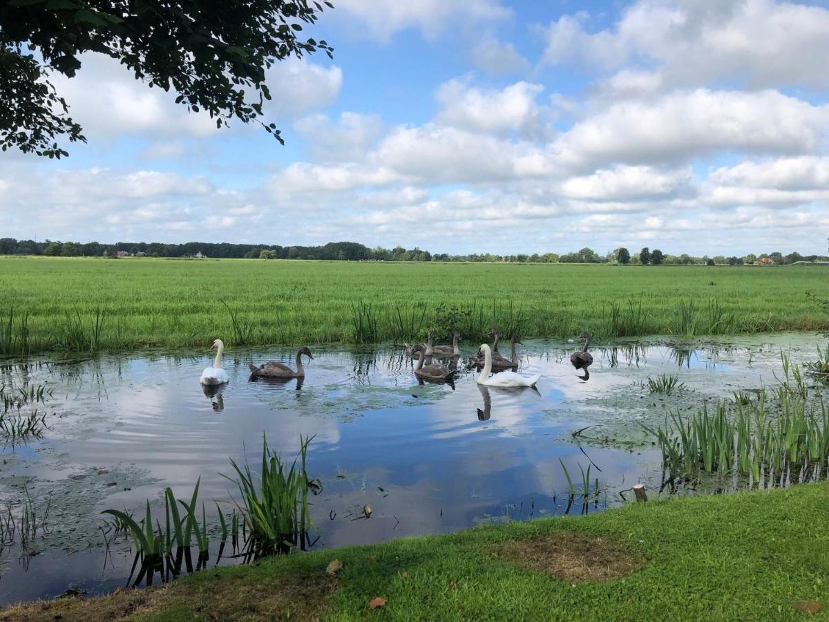 Prive In Een Bosrijke Omgeving Welkom Bij Gastenverblijf Het Ontsnapte Schaap In Jubbega Eksteriør billede