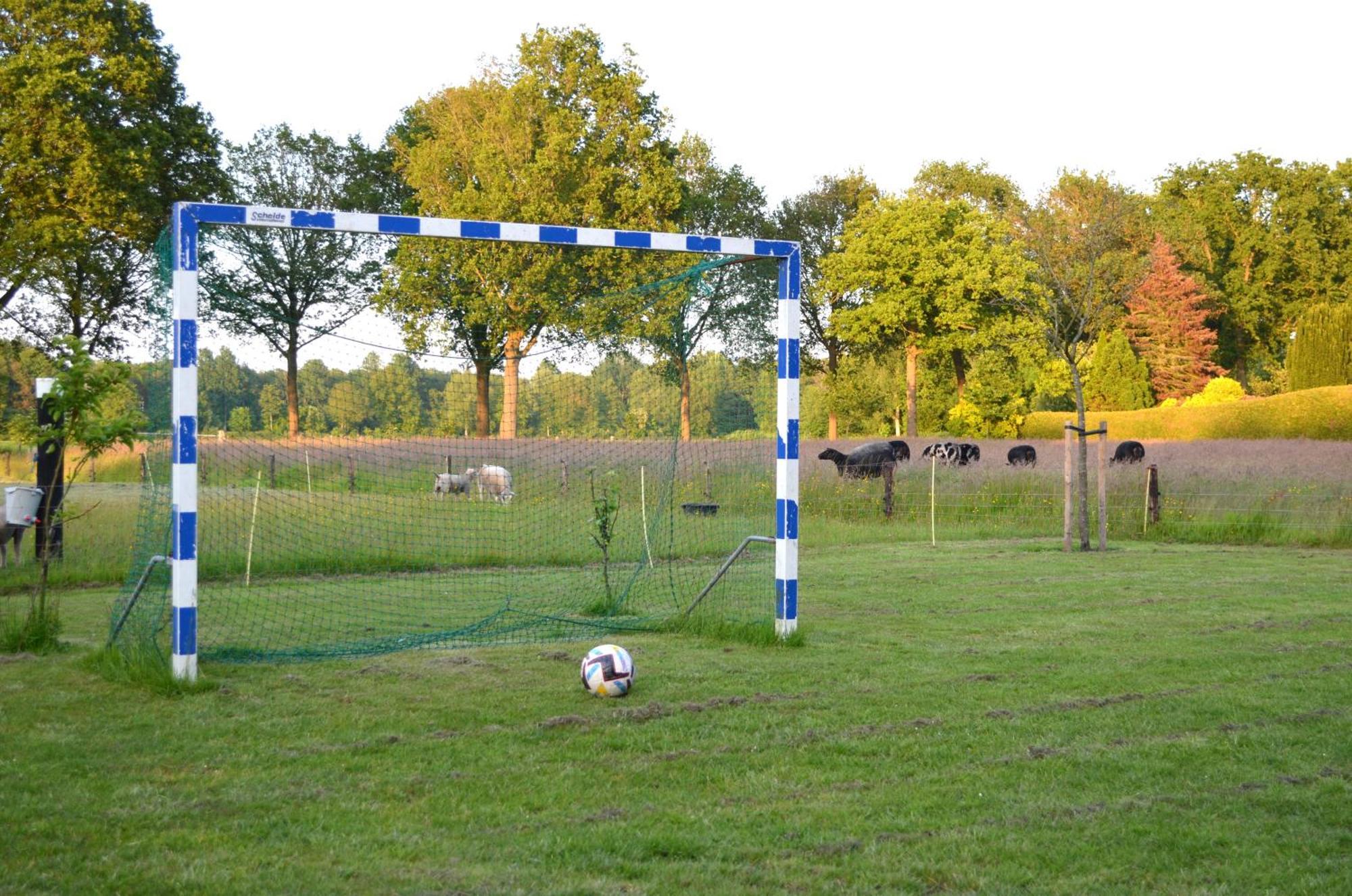 Prive In Een Bosrijke Omgeving Welkom Bij Gastenverblijf Het Ontsnapte Schaap In Jubbega Eksteriør billede